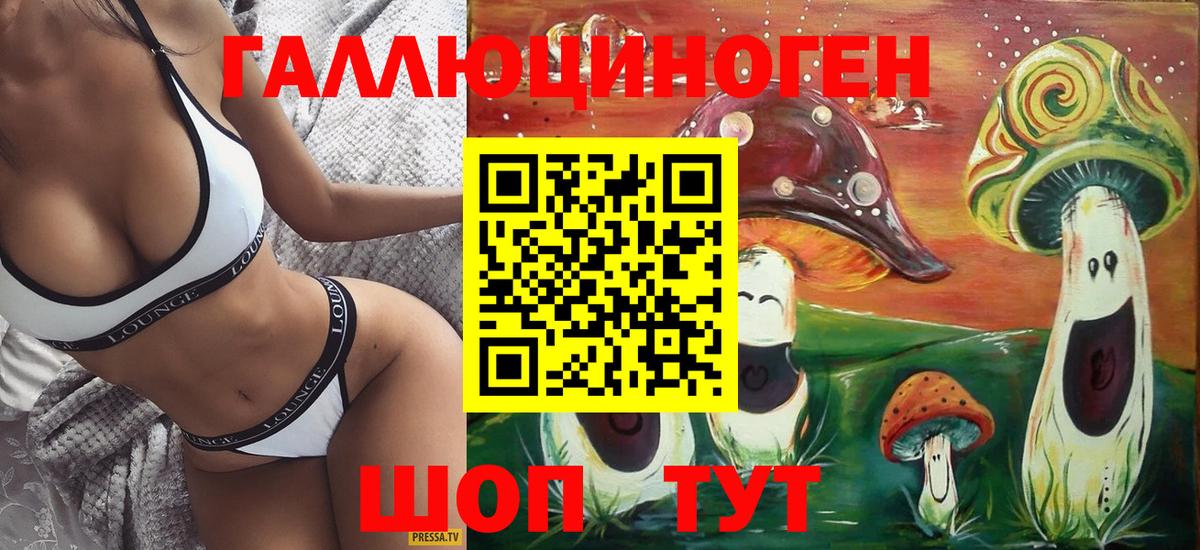 Псилоцибиновые грибы мицелий Черкесск